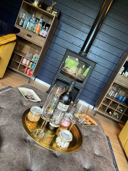 Cabin interior log burner