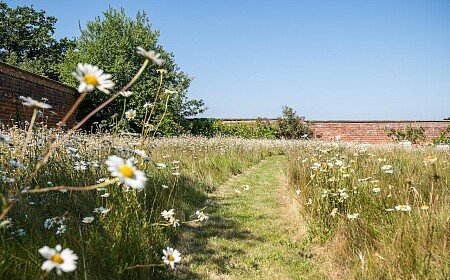 Location Creation: The Walled Garden:garden7