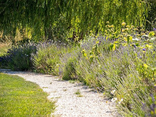 The Walled Garden:garden path
