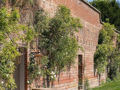 The Walled Garden:garden10