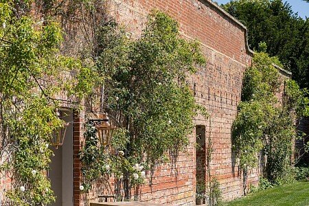 The Walled Garden:garden10
