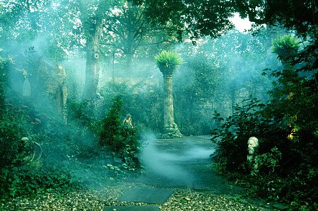 enchanted garden at House of Magic
