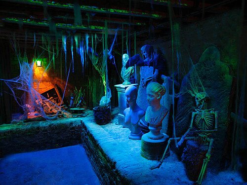 cellar2