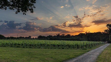 Birchden Vineyards-New Wine Launch Event-26-06-26-Compressed-84