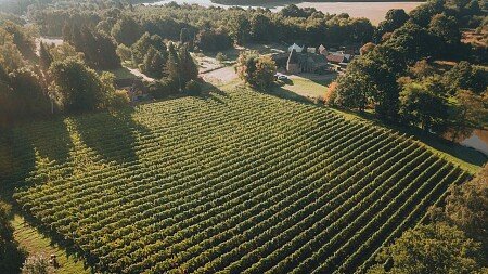 DJI_0129 (1)