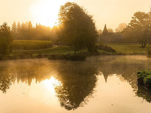 Wealden Wine Trail - Birchden Vineyards - Photo - FULL RES -3