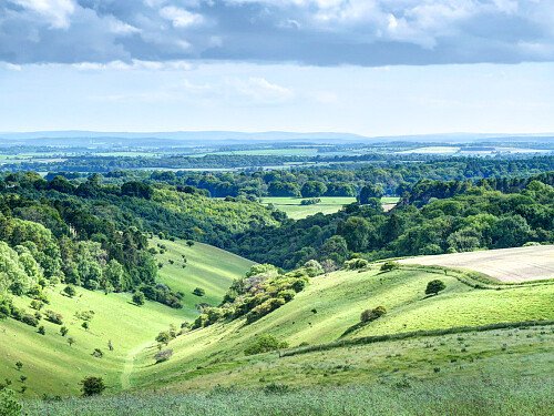 Image for Location 1855