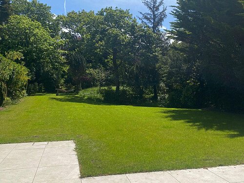 Garden11