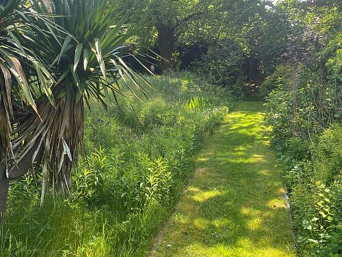Garden1