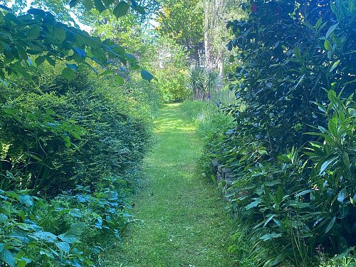 Garden2