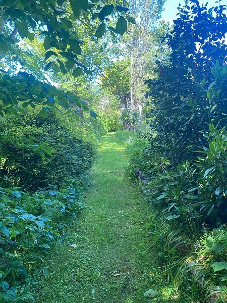 Garden2
