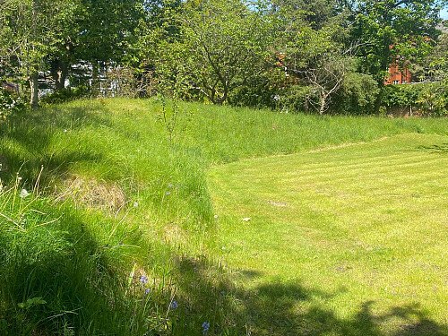 Garden3