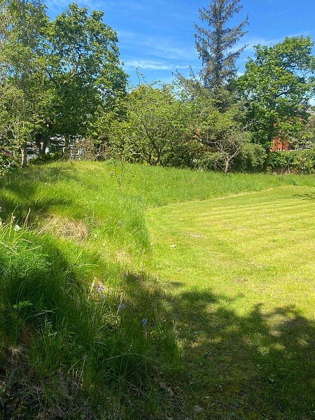 Garden3