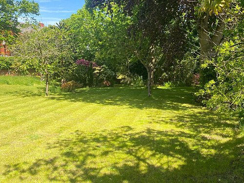 Garden4
