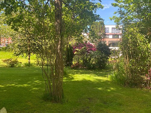 Garden5