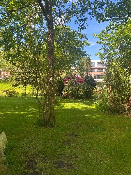 Garden5