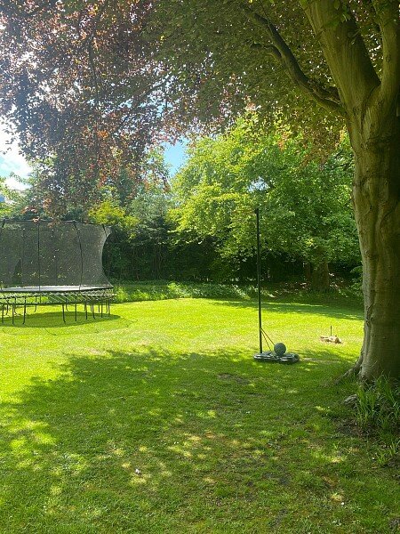 Garden6