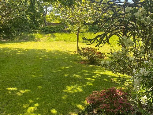 Garden8