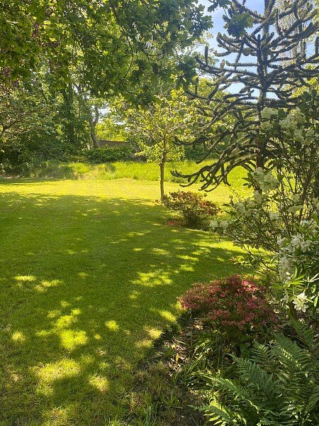Garden8