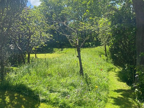 Garden9