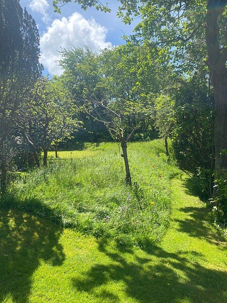 Garden9