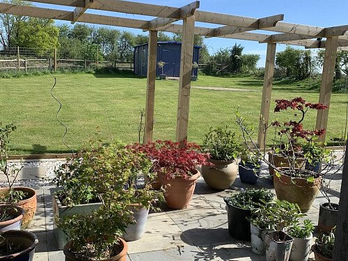 Garden 3