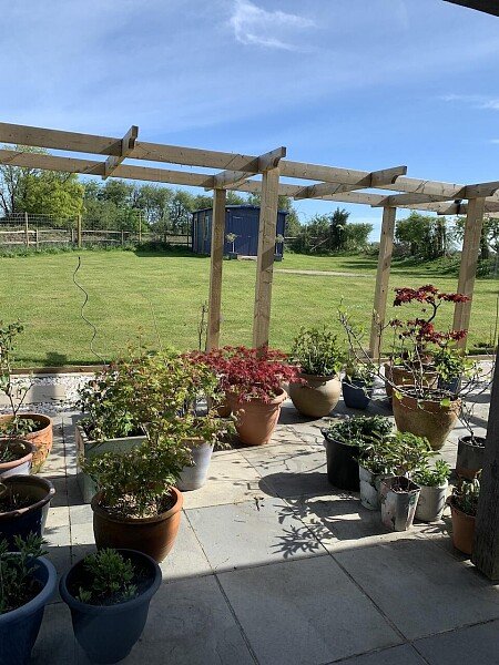 Garden 3
