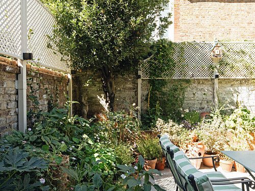 Rear Garden 4