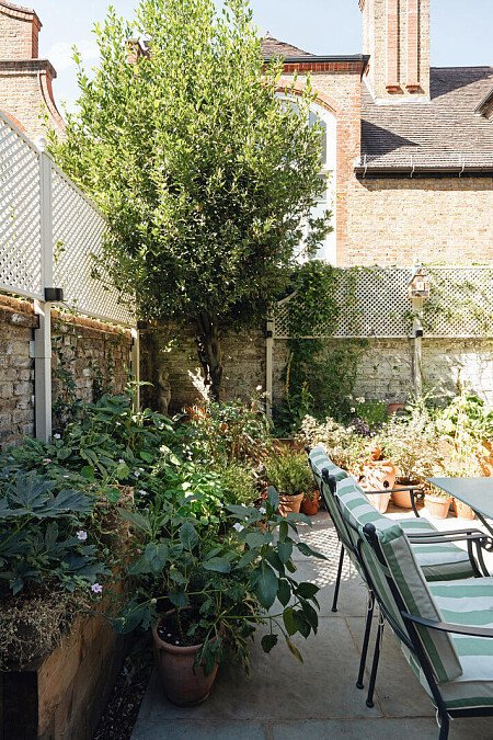 Rear Garden 4