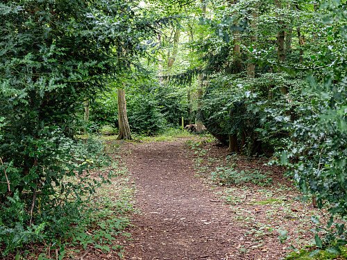 External-path in woodland