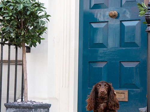 Front_door_angle_small