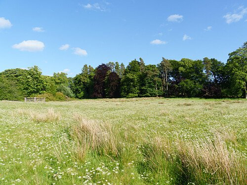 Cauldhame104