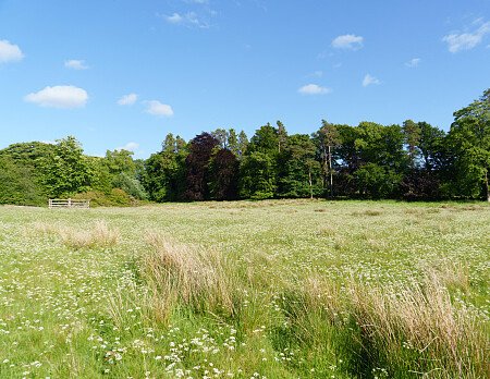 Cauldhame104