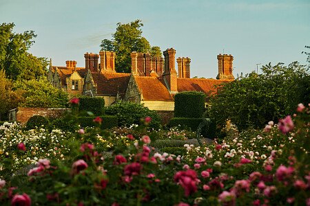 Location Creation: Borde Hill: jay robins rose garden