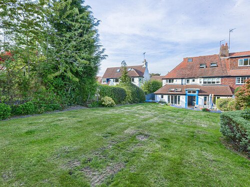 Garden top view