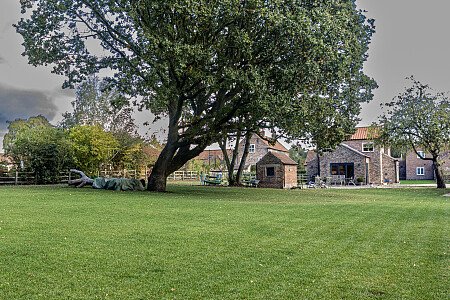 IMG_2200