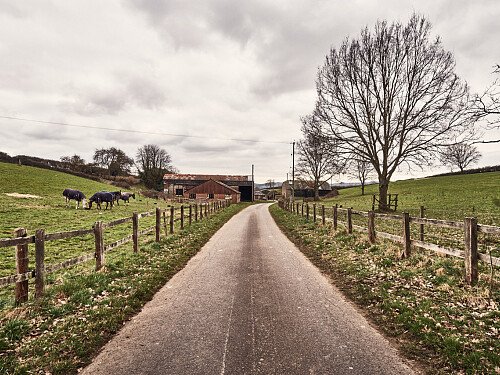 Image for Location 1705