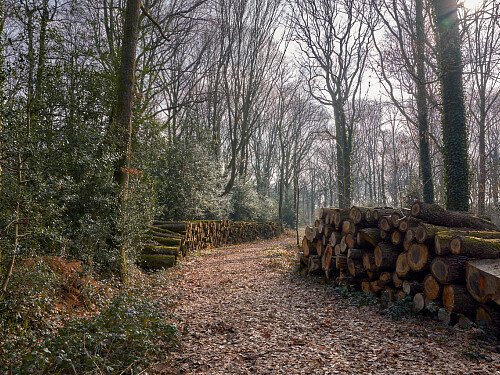 Image for Location 1704