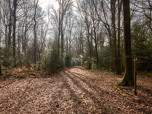 Image for Location 1704