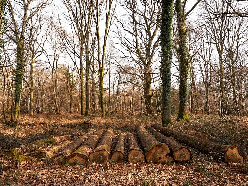 Image for Location 1704