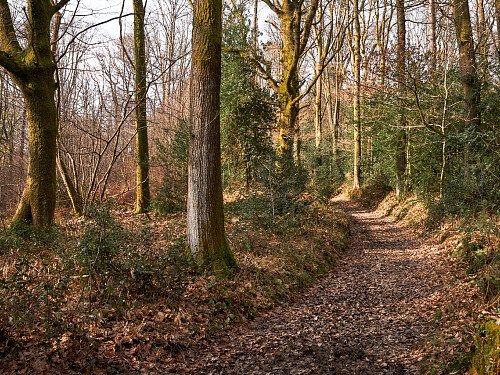 Image for Location 1704