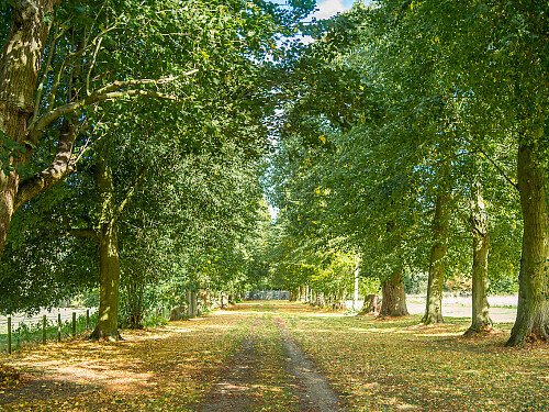 Image for Location 1582