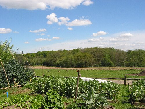 Image for Location 1575