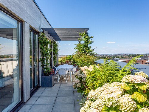 Image for Location 1464