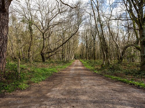 Image for Location 1323