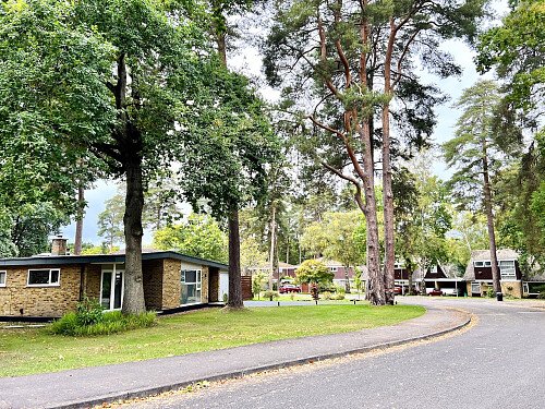 Image for Location 1250