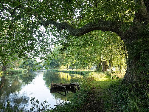 Image for Location 1209