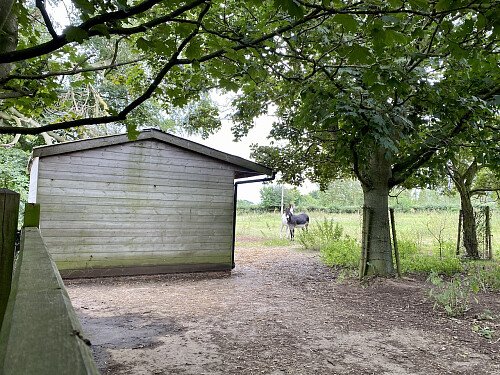 Image for Location 1128