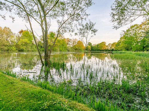 Image for Location 1049