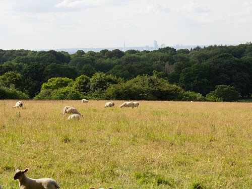 Image for Location 1000